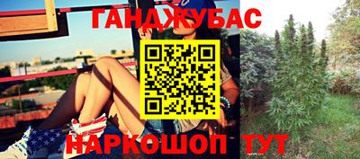 крисы Жуковский