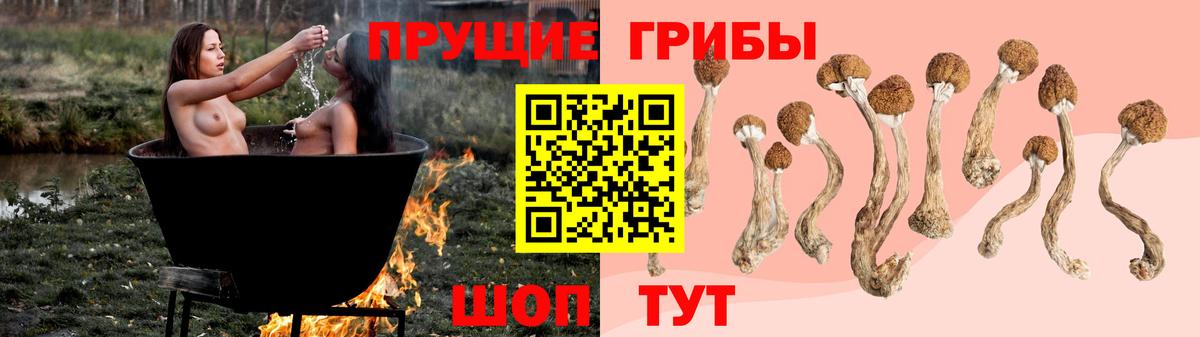 Галлюциногенные грибы прущие грибы  Галлюциногенные грибы GOLDEN TEACHER  Вход с VPN  Магадан 